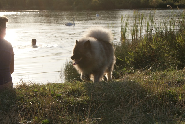 Chojnice 01.08.2009