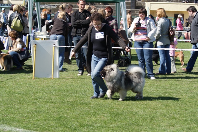 Inowrocław 2009