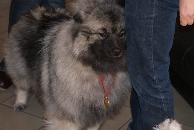 Angi
